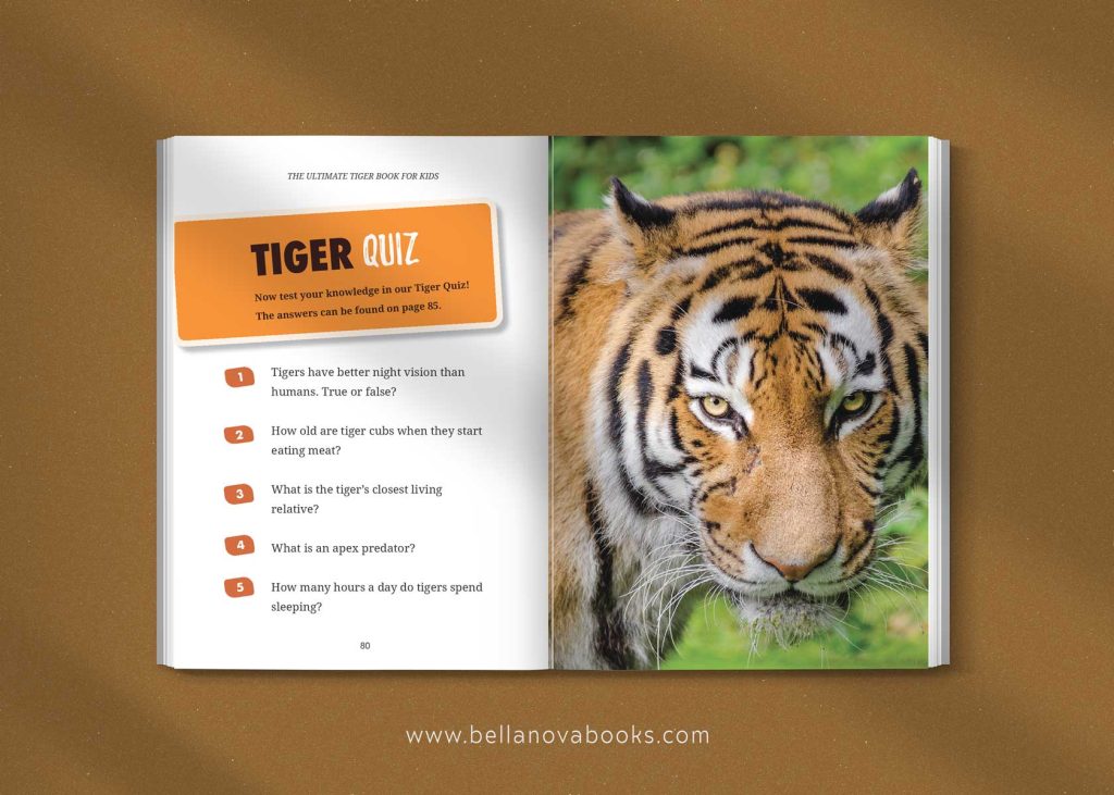 Interior page with tiger quiz and full-color tiger photo
