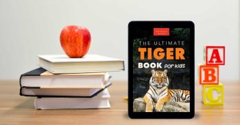 Tablet cover of The Ultimate Tiger Book for Kids – high-resolution tiger photo
