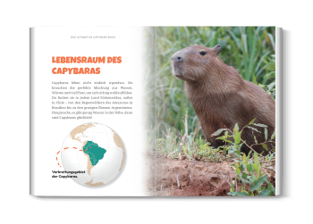 Das Ultimative Capybara-Buch für Kinder - Image 4
