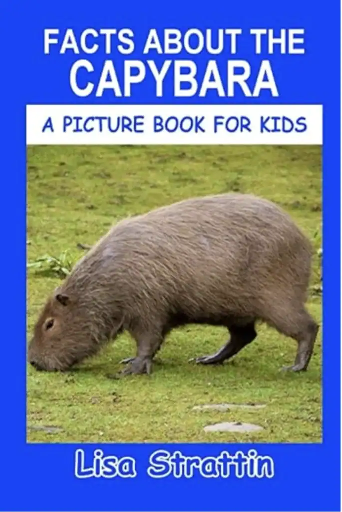 facts about the capybara